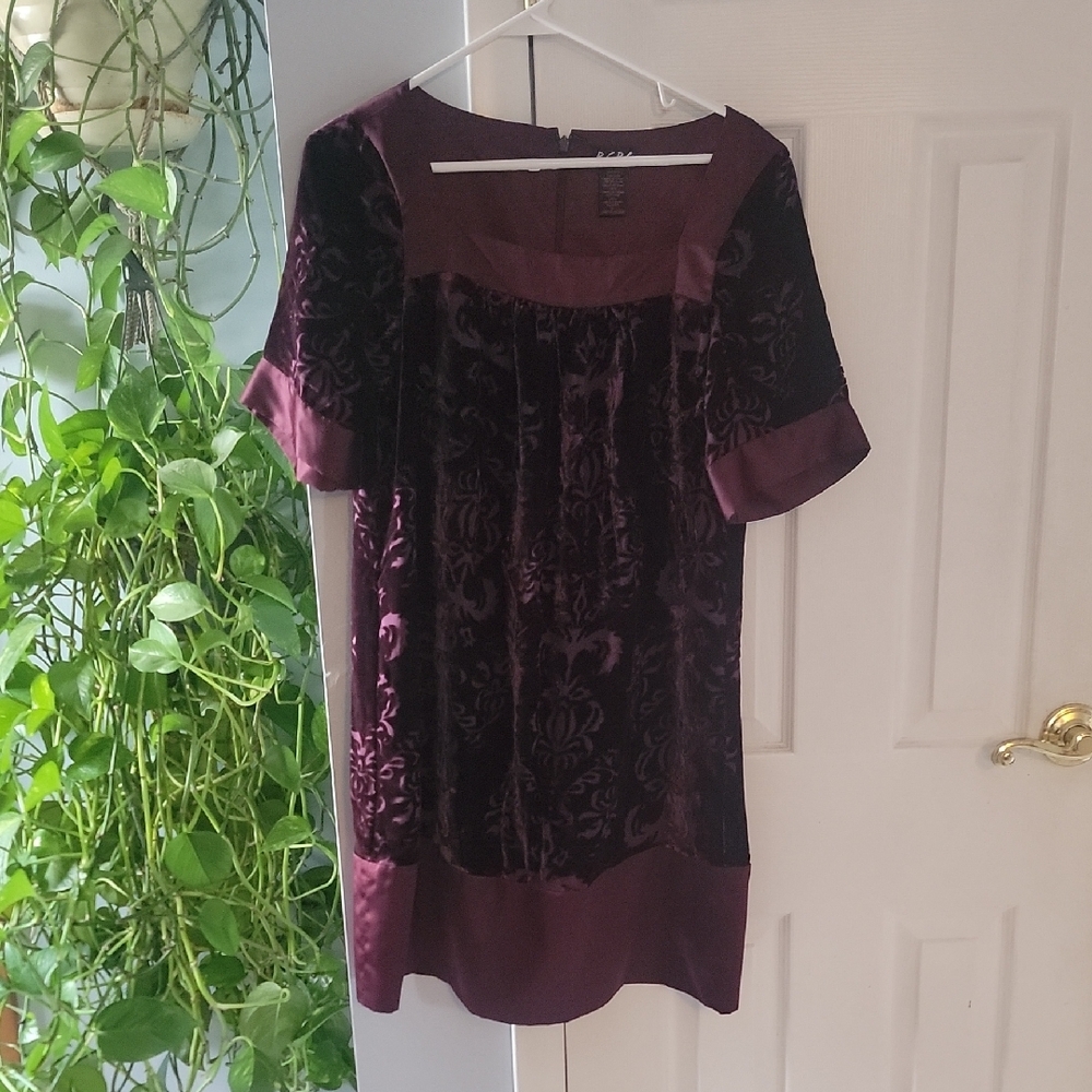 Elegant Velvet Dress in Rich Purple